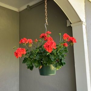 Meet your Posher, Grace